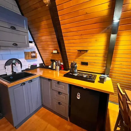 Sakarya Uenluece De 2 1 Salon Isitma Havuzlu-saunali-jakuzili - 5 Kisillik Bungalov-bng-70 Holiday home *